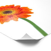 Oranje Gerbera Daisy Flower Foto Afdruk (Hoek)