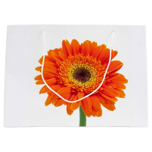 Oranje Gerbera Daisy Flower Large Cadeauzakje (Voorkant)
