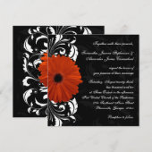 Oranje Gerbera Daisy met zwarte en witte scroller Kaart (Voorkant / Achterkant)