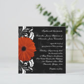 Oranje Gerbera Daisy met zwarte en witte scroller Kaart (Staand voorkant)