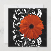 Oranje Gerbera Daisy met zwarte en witte scroller Kaart (Achterkant)