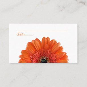 Oranje Gerbera Daisy Speciale Gelegenheid Plaats K Plaatskaartje