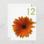 Oranje Gerbera Daisy Tafelnummer Kaart (Voorkant / Achterkant)