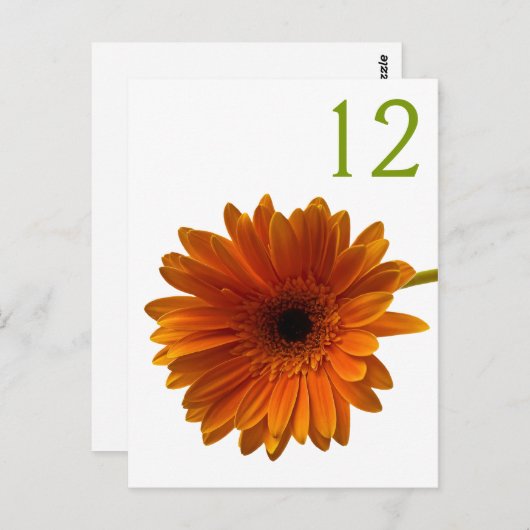 Oranje Gerbera Daisy Tafelnummer Kaart (Voorkant / Achterkant)
