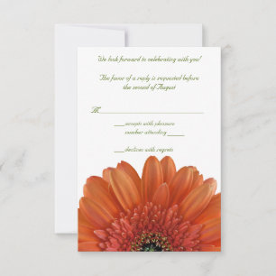 Oranje Gerbera Madelief Bruiloft Antwoord RSVP Kaa