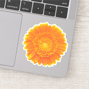 oranje gerbera margriet sticker