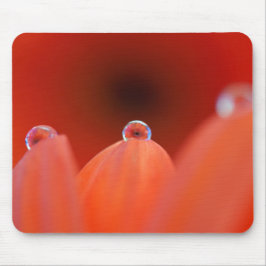 Oranje Gerbera Refraction Mousepad Muismat