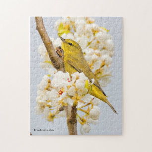 Oranje-Gesneden Warbler Amid de Cherry Blossom Legpuzzel