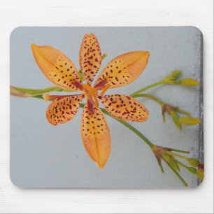 Oranje gespikkelde Iris, ook wel een Blackberry l Muismat
