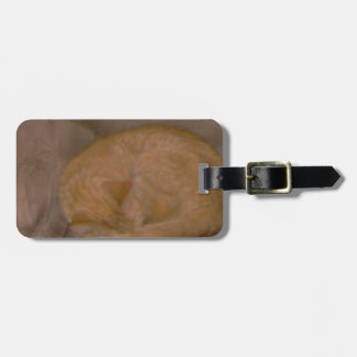 Oranje gestreepte kattenkaarten, t-shirt, klok, si bagagelabel
