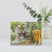 Oranje gestreepte tijger briefkaart (Staand voorkant)