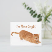 Oranje Ginger Tabby Shorthair Cat Briefkaart (Staand voorkant)