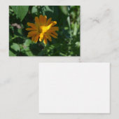 Oranje goudsbloem (Calendula officinalis) Informatiekaartje (Voorkant / Achterkant)