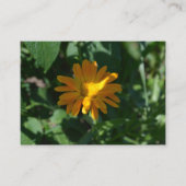 Oranje goudsbloem (Calendula officinalis) Informatiekaartje (Voorkant)