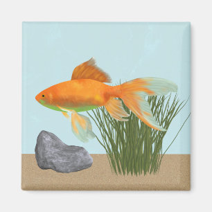 Oranje Goudvis Natuur Aquarium Magneet