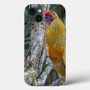 Oranje grijze fluffy-rooster, iPhone 13 hoesje
