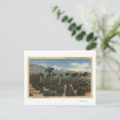 Oranje Grove Scène met Sneeuwklapte Mts Briefkaart (Staand voorkant)