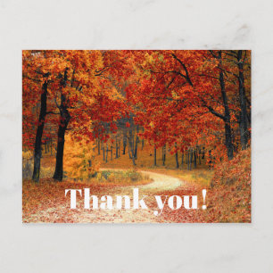 Oranje Herfst / Najaargang foto Foto bedankt Briefkaart