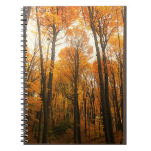 Oranje herfstbos notitieboek
