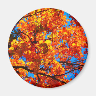 Oranje herfstfoto magneet