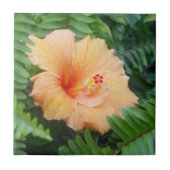 Oranje Hibiscus Bloem met Varens Tegeltje (Voorkant)