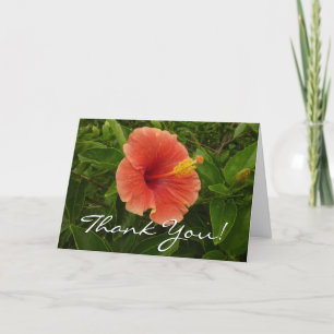 Oranje Hibiscus Bloem Tropische Bloemen Bedankkaart