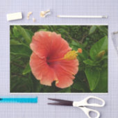 Oranje Hibiscus Bloem Tropische Floral Tissuepapier (Craft)