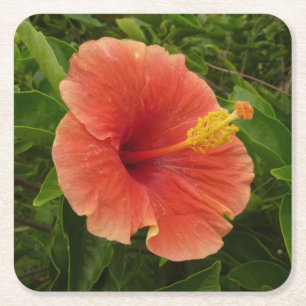 Oranje Hibiscus Bloem Tropische Floral Vierkante Kartonnen Onderzetter