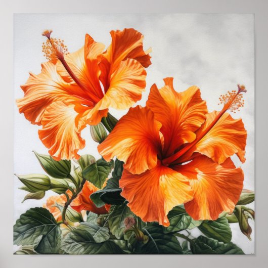 Oranje Hibiscus Bloemenkunst Print Poster (Voorkant)