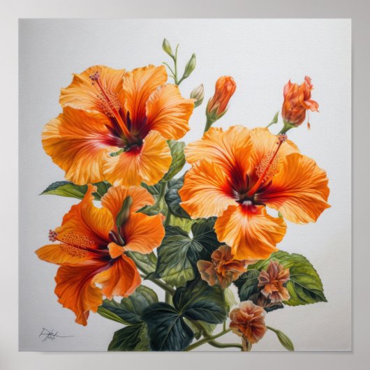 Oranje Hibiscus Bloemenkunst Print Poster (Voorkant)