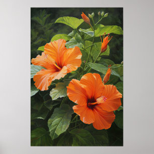 Oranje Hibiscus Bloemenkunst Print Poster