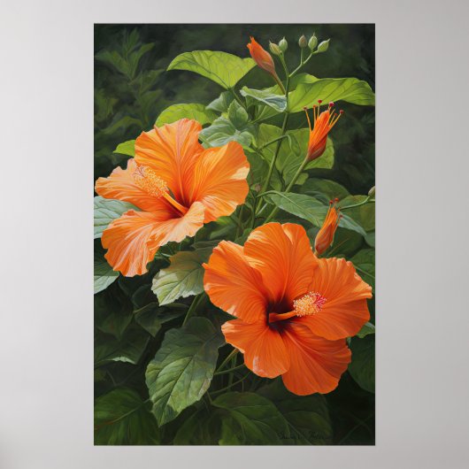 Oranje Hibiscus Bloemenkunst Print Poster (Voorkant)