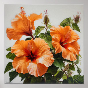 Oranje Hibiscus Bloemenkunst Print Poster