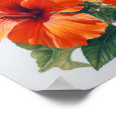Oranje Hibiscus Bloemenkunst Print Poster (Hoek)