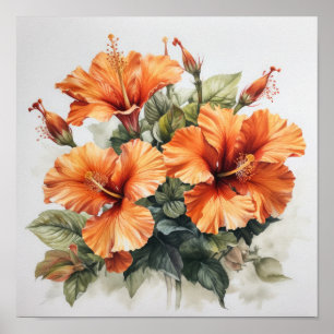 Oranje Hibiscus Bloemenkunst Print Poster