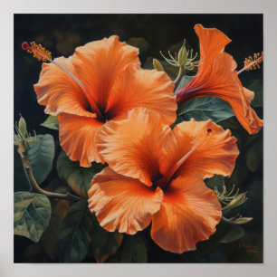 Oranje Hibiscus Bloemenkunst Print Poster