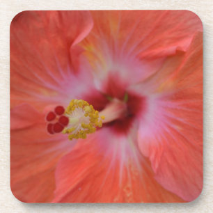 Oranje Hibiscus Cork Onderzetter