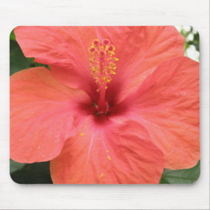 Oranje Hibiscus Flower Macro Mousepad Muismat