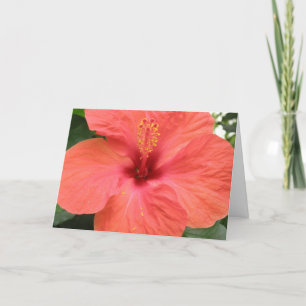 Oranje Hibiscus Flower Mscro Custom Wenskaart Kaart