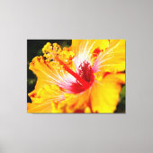 Oranje Hibiscus Flower Side Uitzicht Canvas Afdruk (Voorkant)