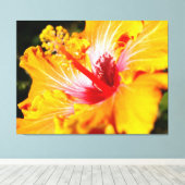 Oranje Hibiscus Flower Side Uitzicht Canvas Afdruk (Insitu (Houten vloer))
