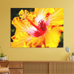 Oranje Hibiscus Flower Side Uitzicht Canvas Afdruk