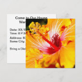 Oranje Hibiscus Flower Side Uitzicht Kaart (Voorkant / Achterkant)