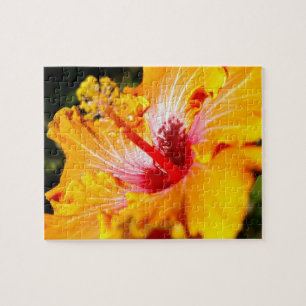 Oranje Hibiscus Flower Side Uitzicht Legpuzzel