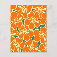 Oranje Hibiscus Flowers Tropisch Hawaiian Luau
