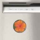 Oranje Hibiscus magnet Magneet (Insitu (Vaatwasser))