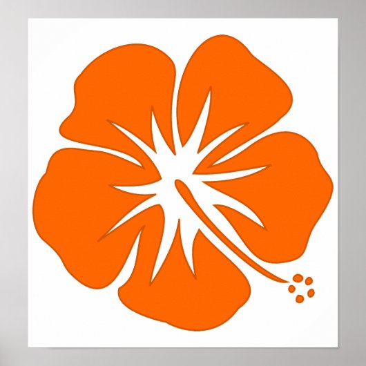Oranje Hibiscus Poster (Voorkant)
