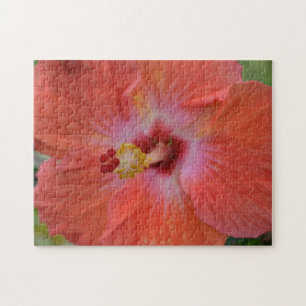 Oranje Hibiscus Puzzel