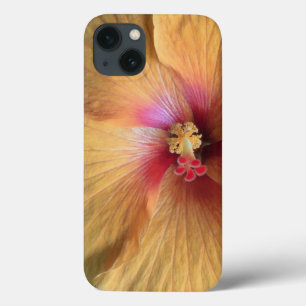 Oranje Hibiscus Ruffle iPhone 13 Hoesje