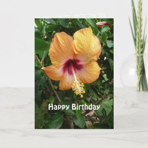 Oranje Hibiscus Tropical Flower Verjaardag Sjabloo Kaart